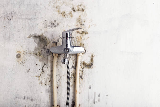 Best Mold Remediation for Schools in Rio, VA