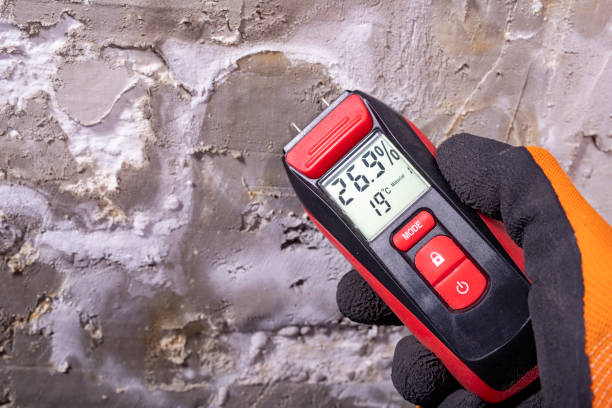 Best Emergency Mold Remediation in Rio, VA